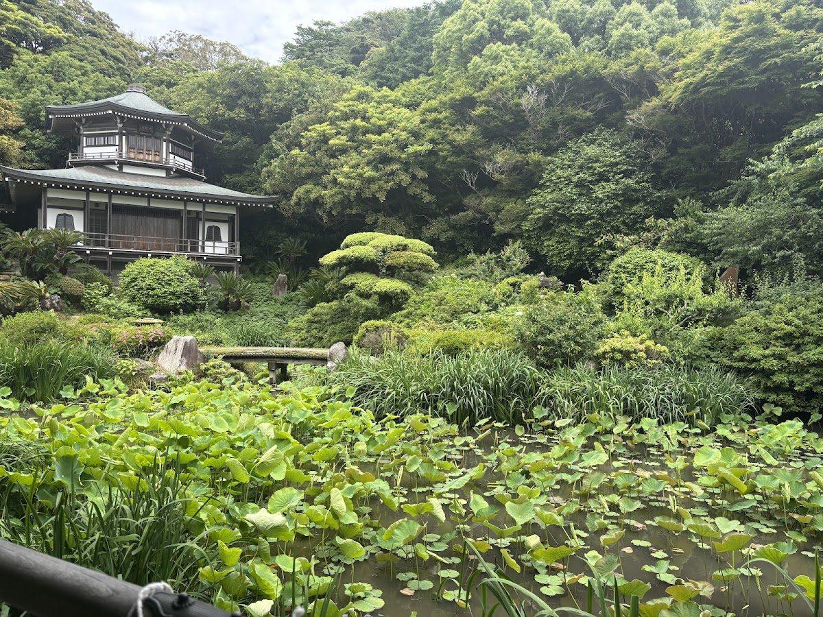 材木座海岸〜光明寺 海と古寺の散歩 の写真 3