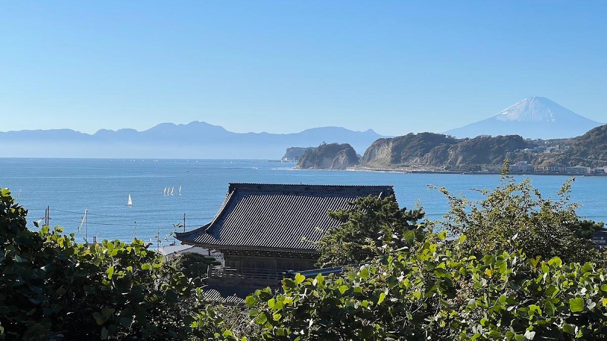 材木座海岸〜光明寺 海と古寺の散歩 の写真 5