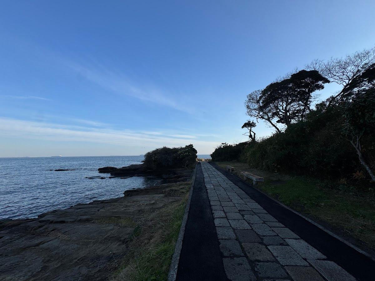 観音崎公園 海と灯台の磯散歩 の写真 2