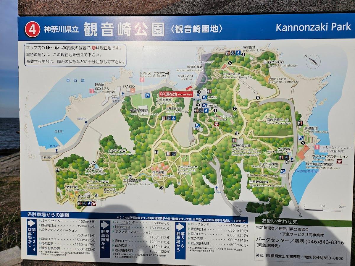 観音崎公園 海と灯台の磯散歩 の写真 4