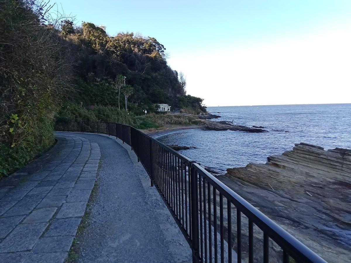 観音崎 海岸園地
