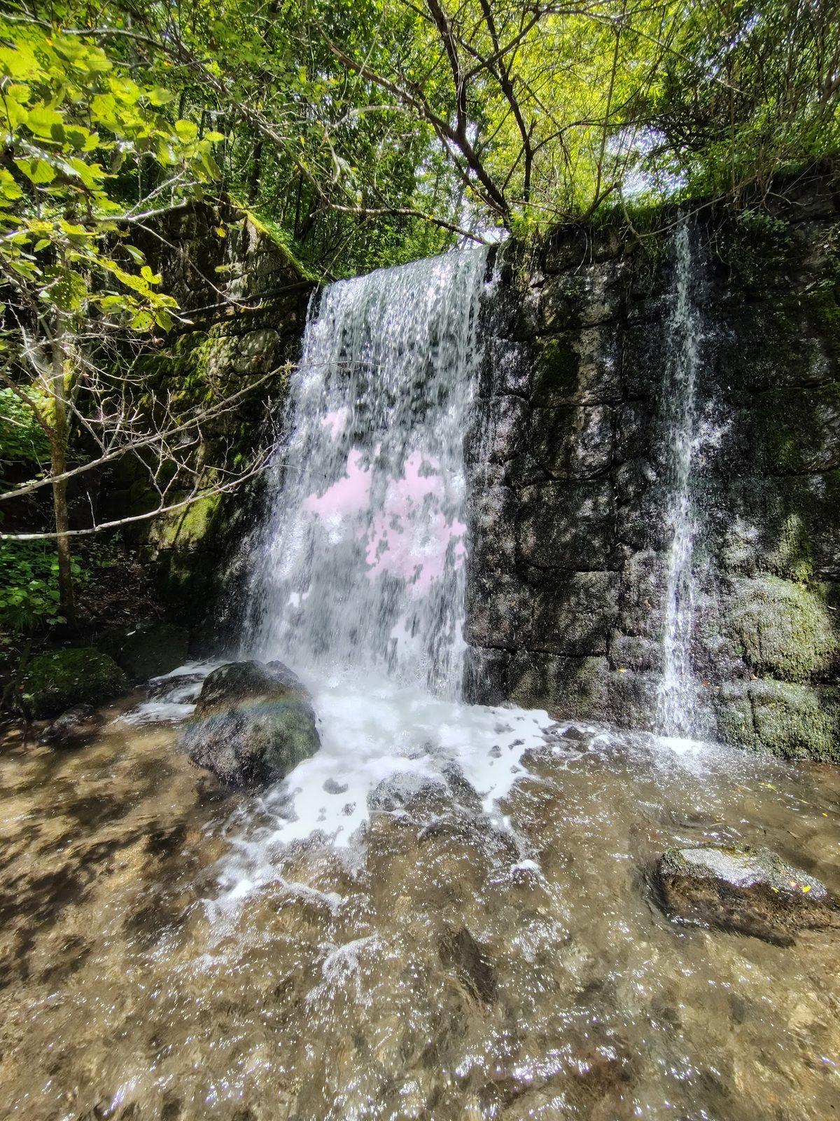 軽井沢 千ヶ滝せせらぎの道 森と滝の散歩 の写真 1