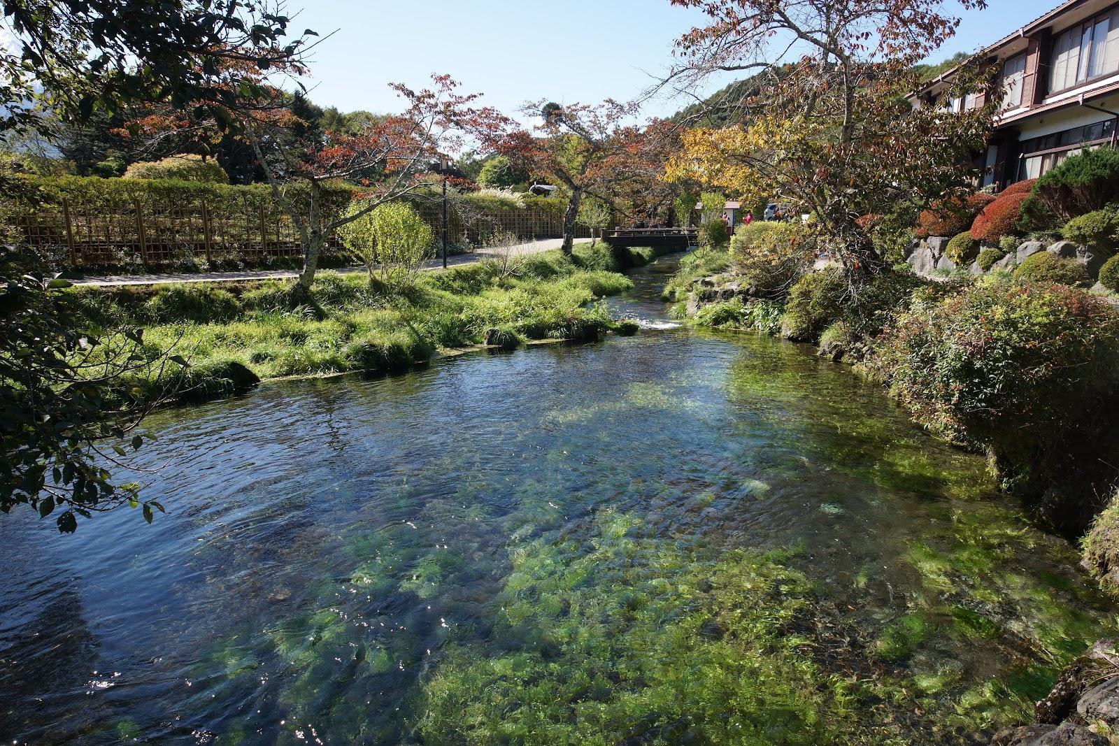 忍野八海 富士の湧水池めぐり の写真 3