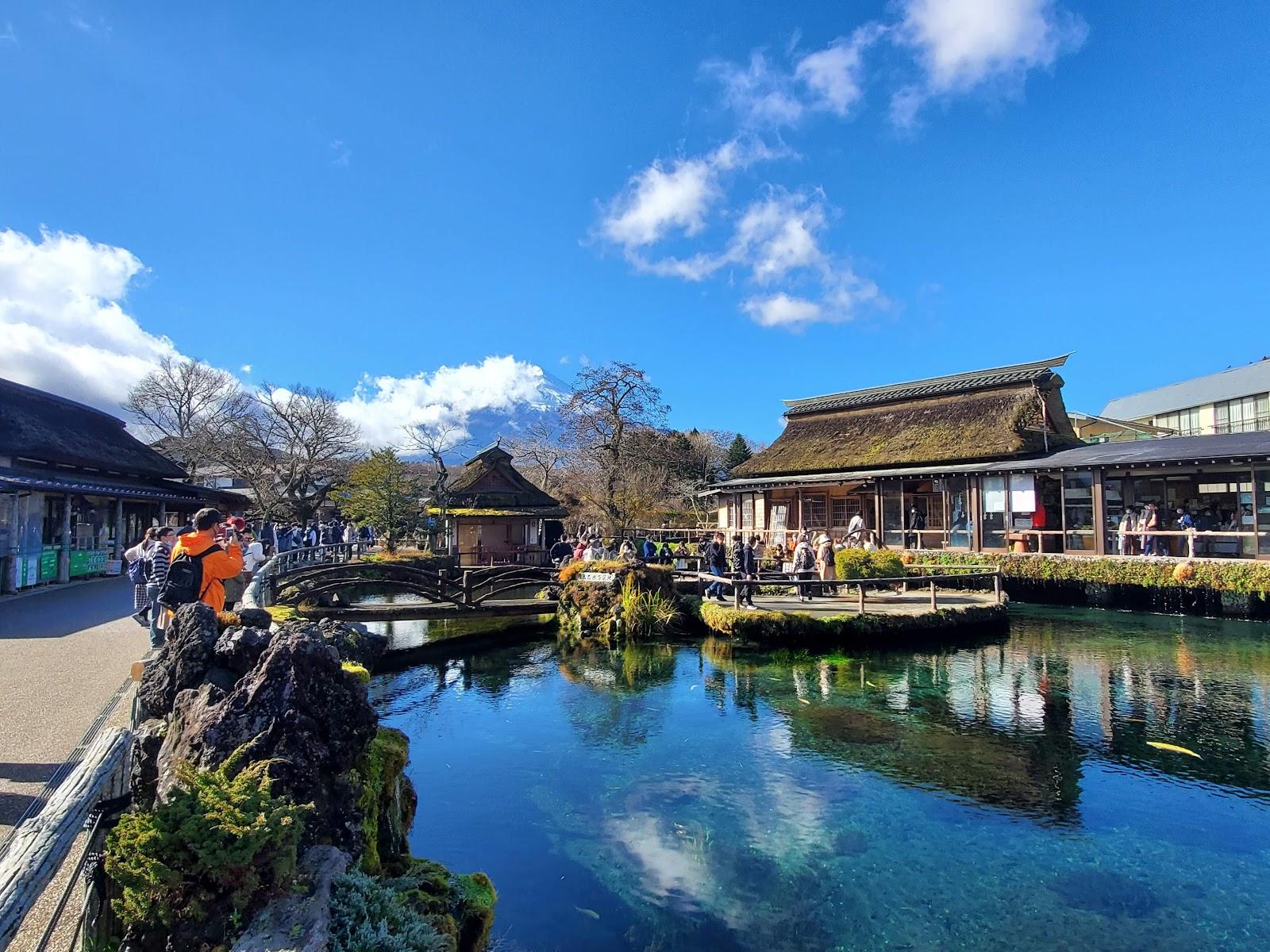 忍野八海 鏡池展望台