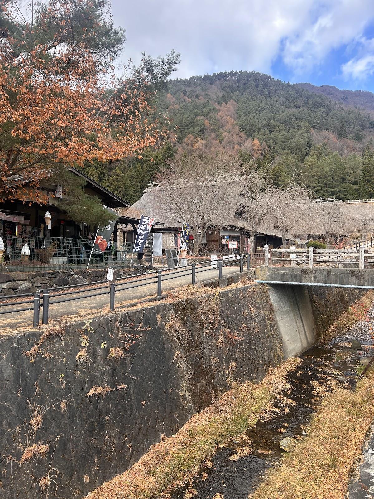 西湖 いやしの里根場 茅葺き屋根と富士山 の写真 2
