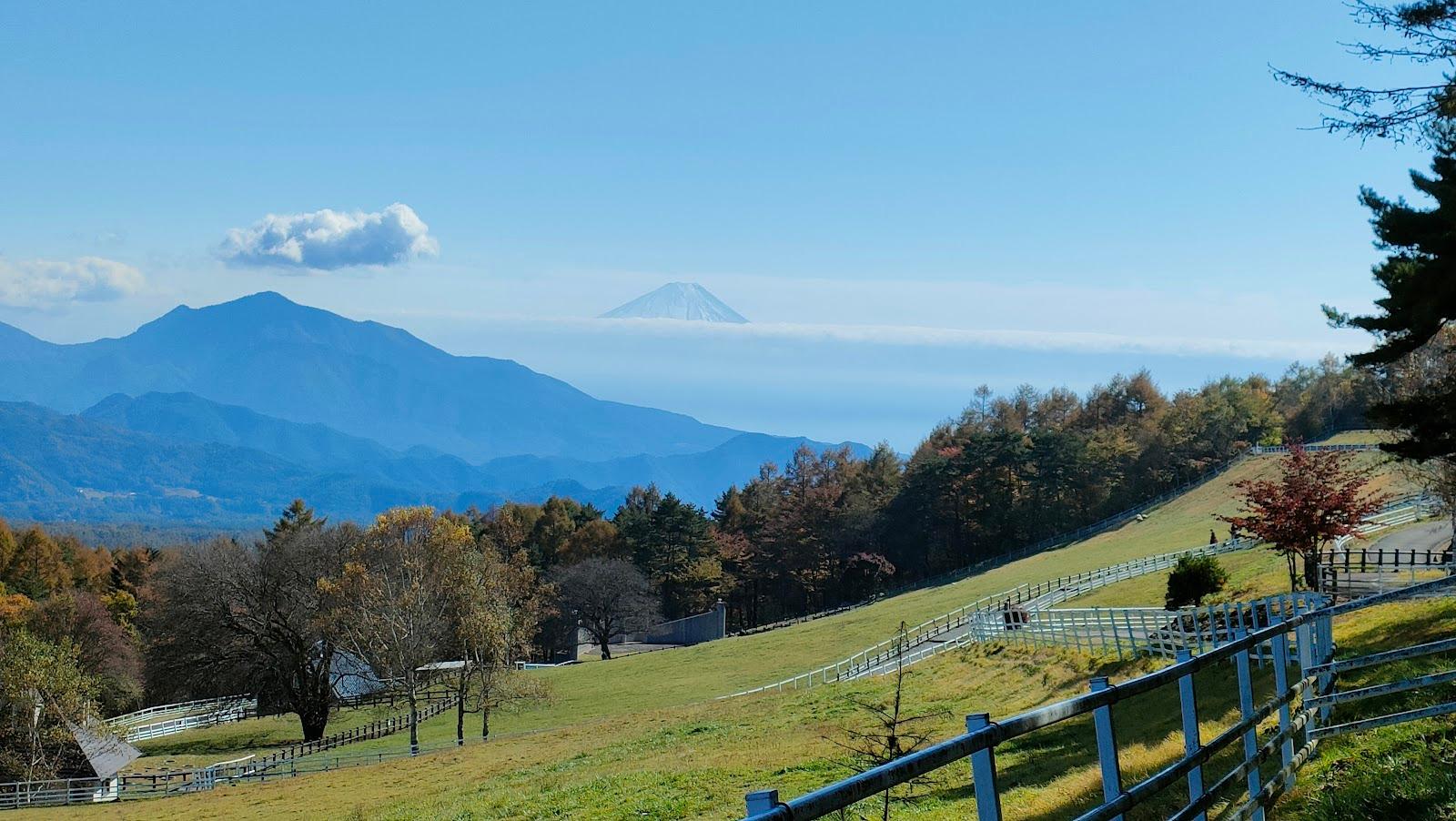 まきば公園 展望エリア