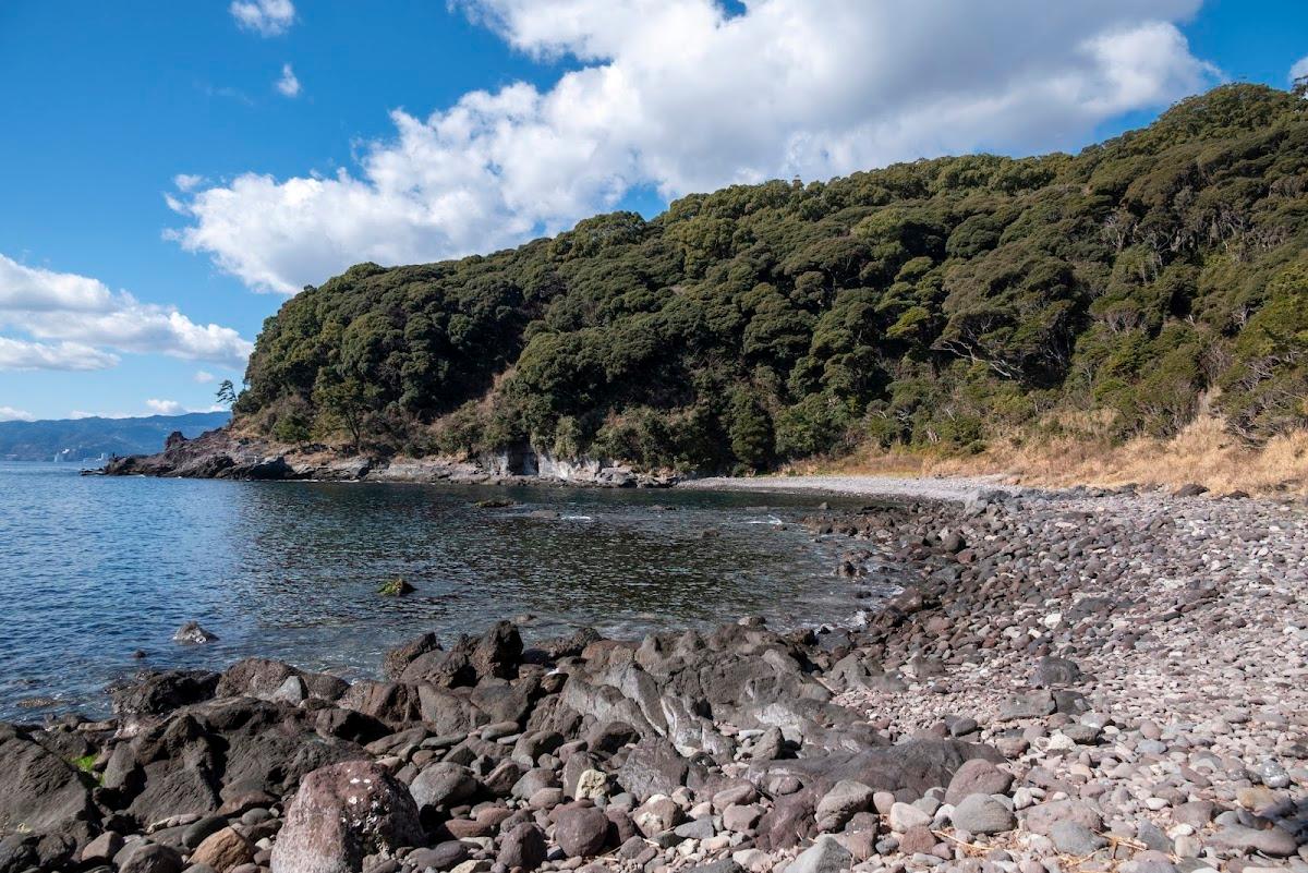 真鶴半島 お林遊歩道と三ツ石海岸さんぽ の写真 1