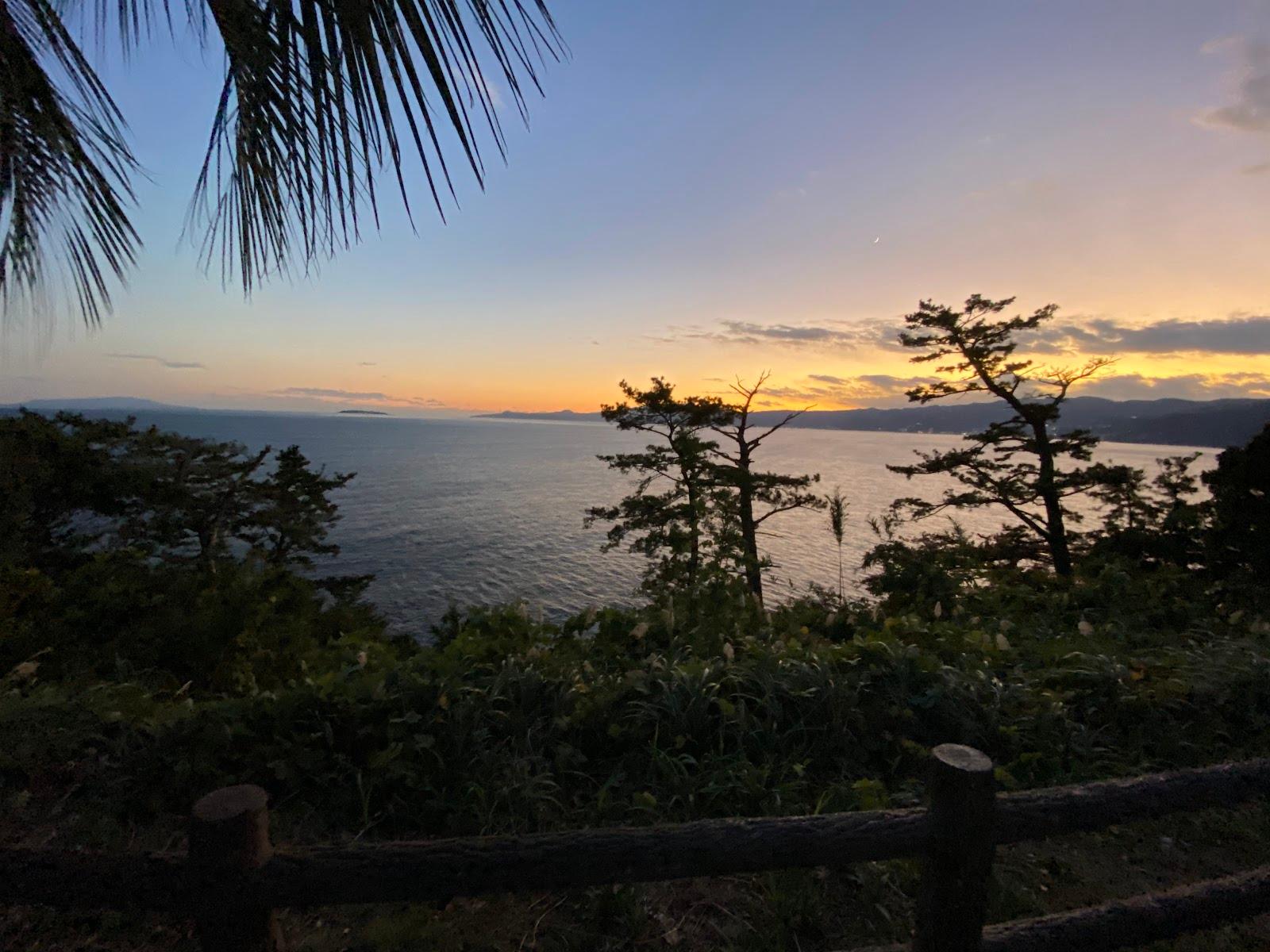 真鶴半島 お林遊歩道と三ツ石海岸さんぽ の写真 3