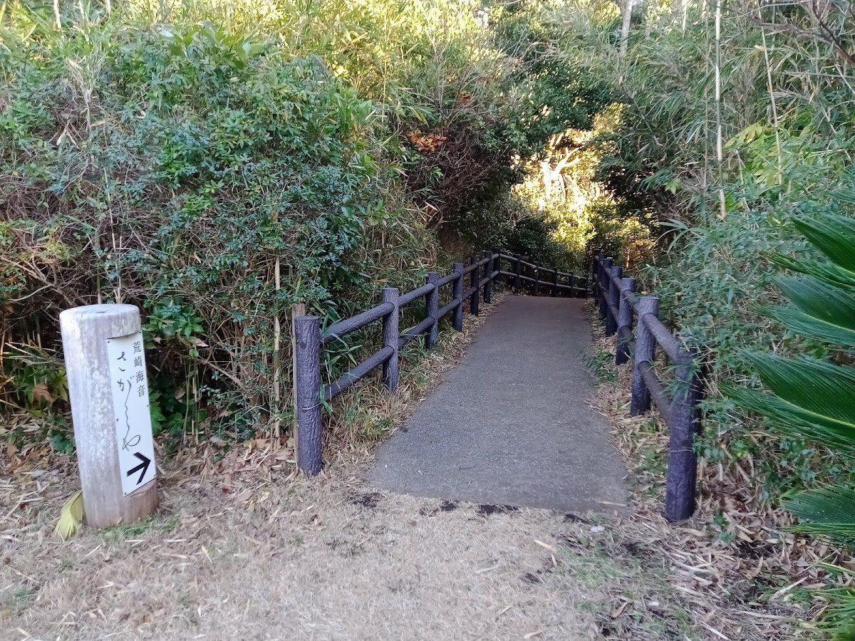 荒崎海岸 潮騒の道 夕日の絶景 の写真 2