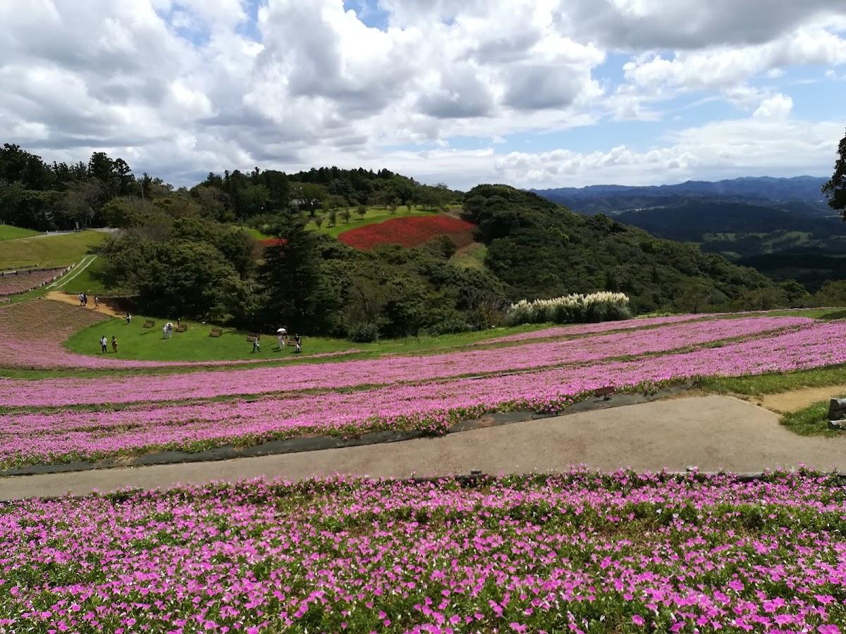 まきばエリア（ふれあい牧場）