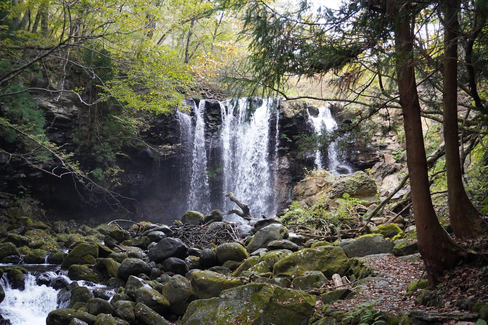 沢名川 滝下流の苔石