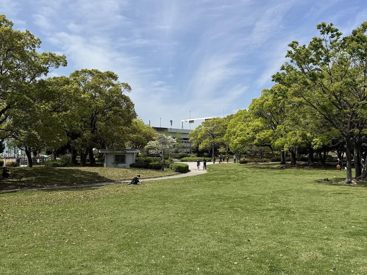 本牧市民公園 芝生広場