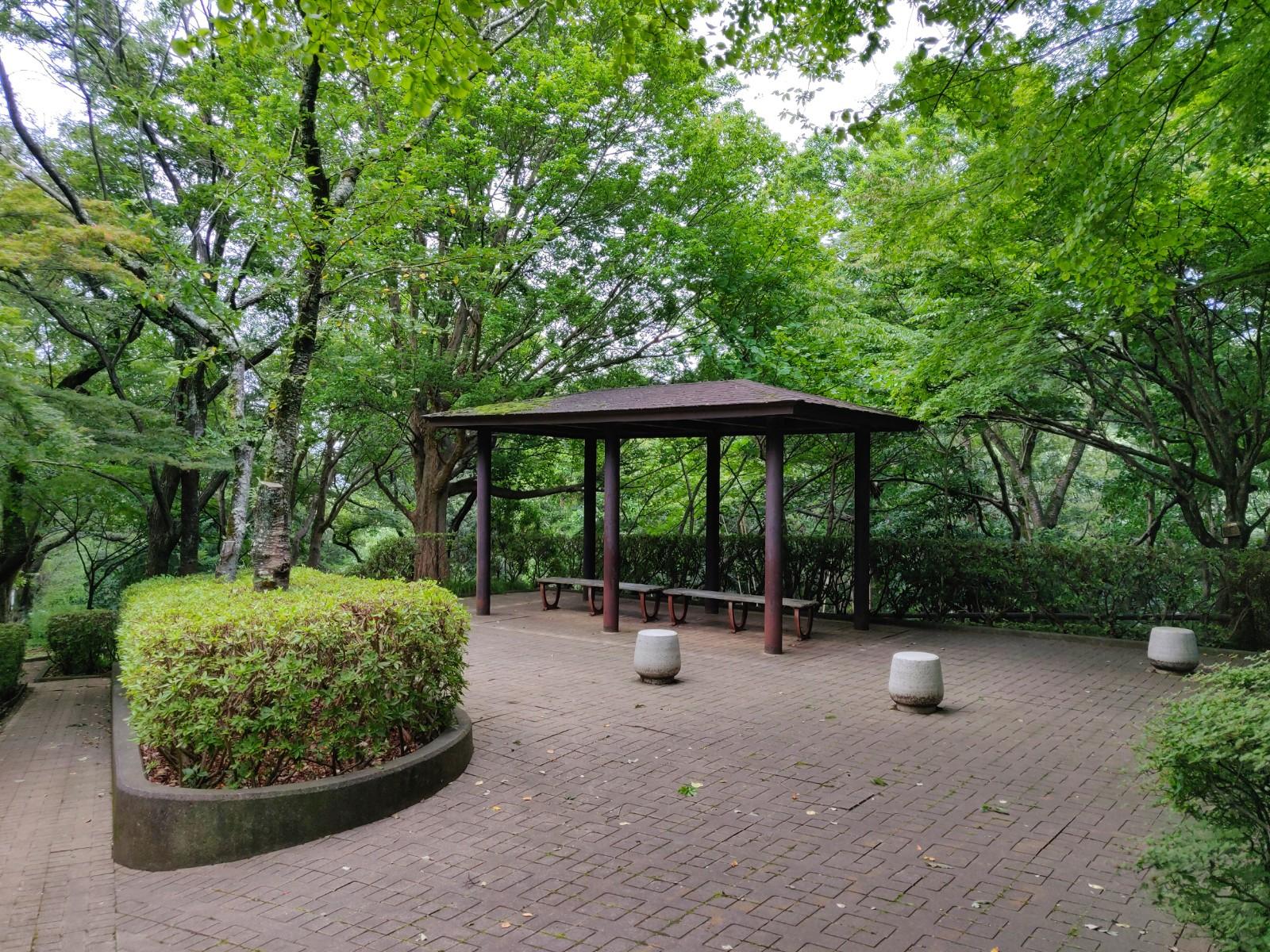 高麗山公園 子供の森