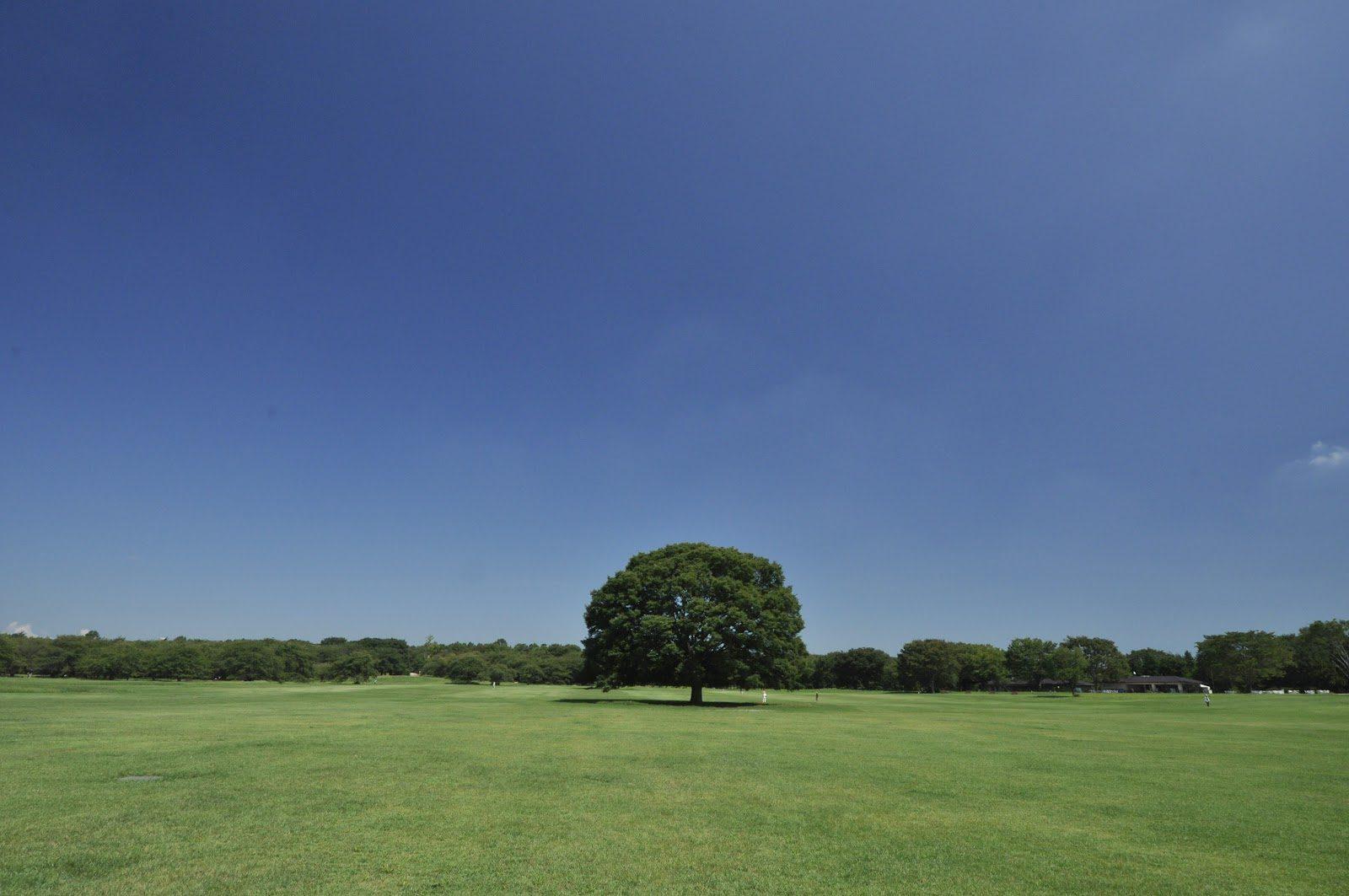 昭和記念公園 みんなの原っぱ