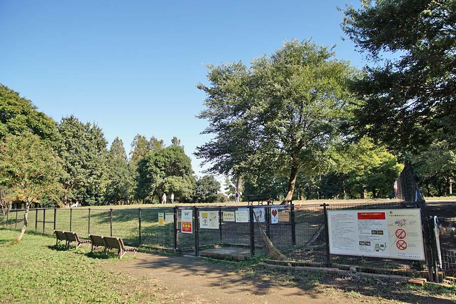 水元公園ドッグラン