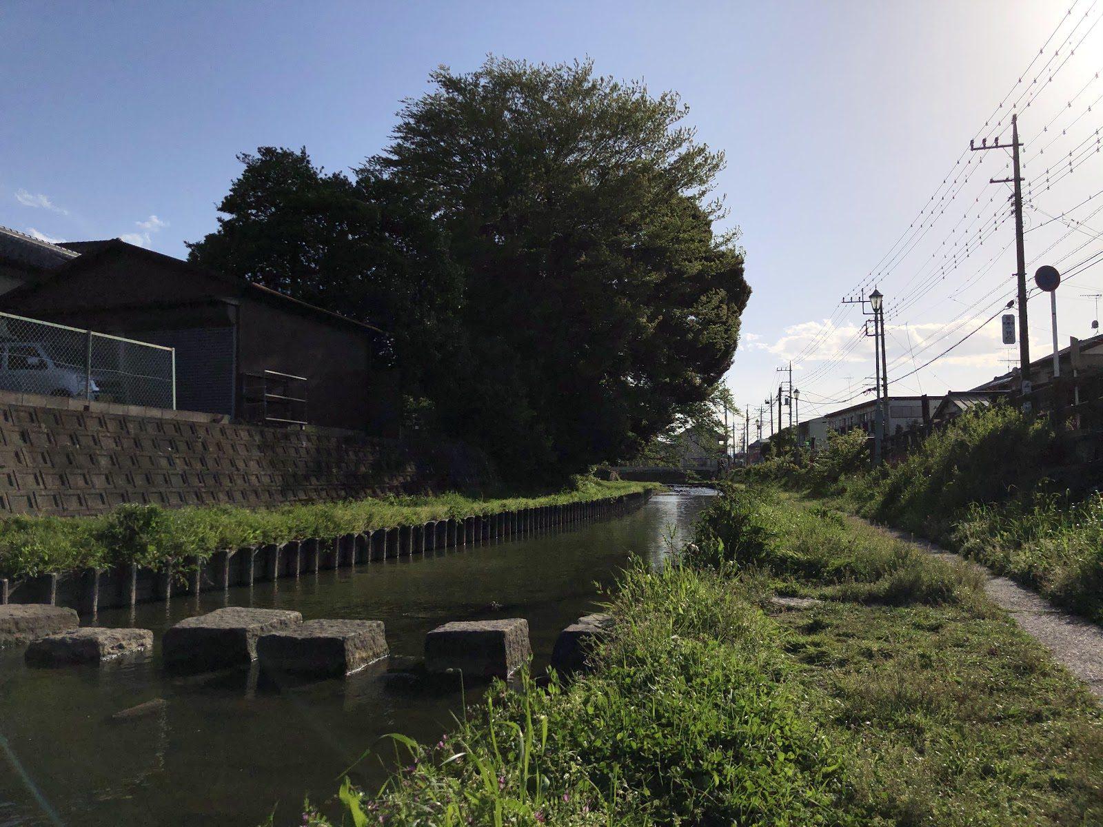 新河岸川河川敷