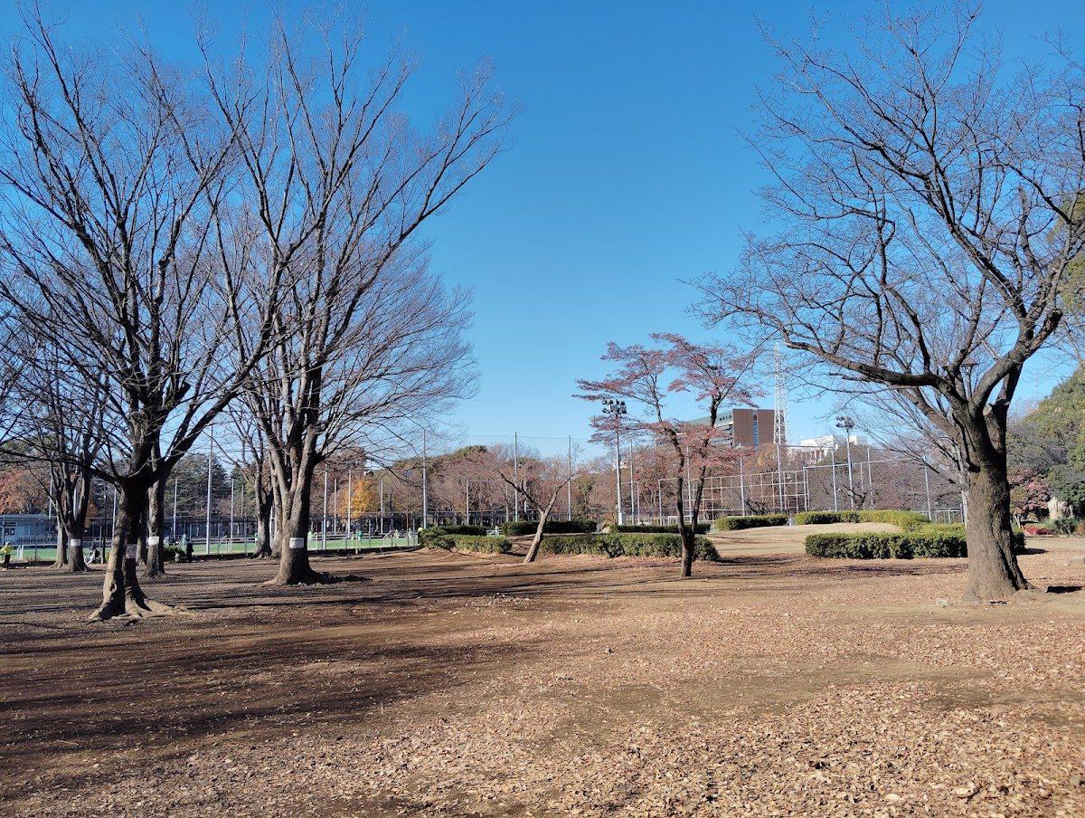 駒沢オリンピック公園 自由広場