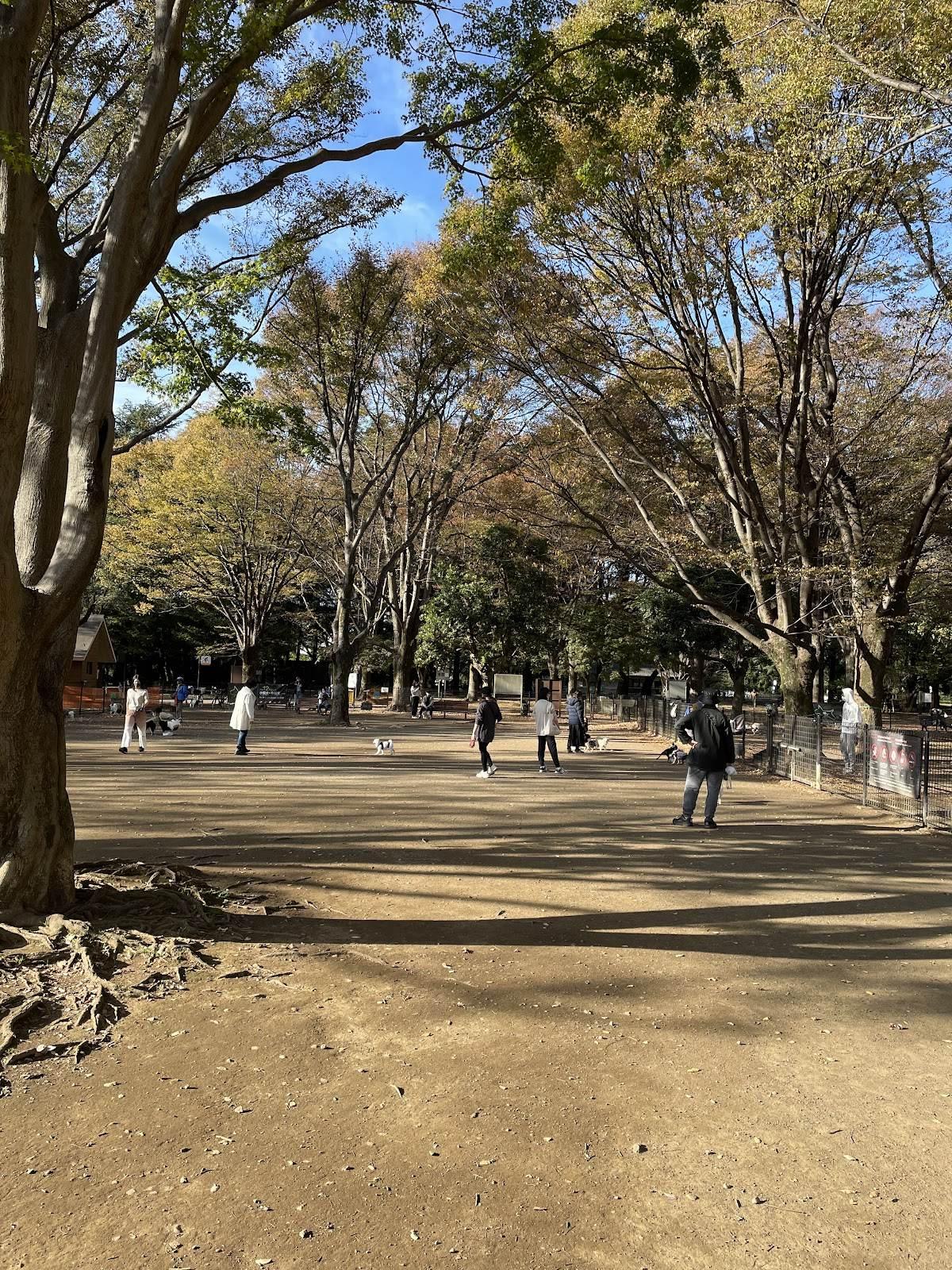 代々木公園 中央広場