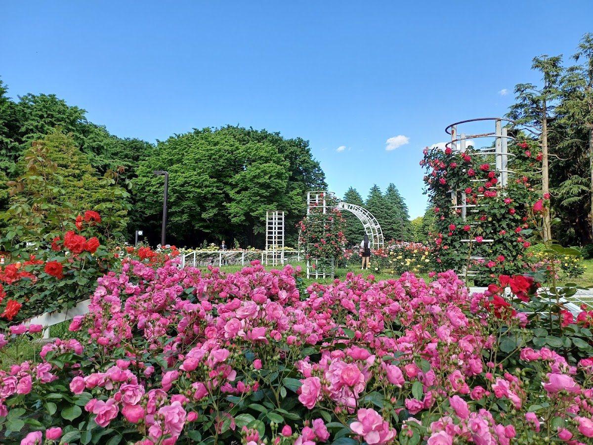 バラの園