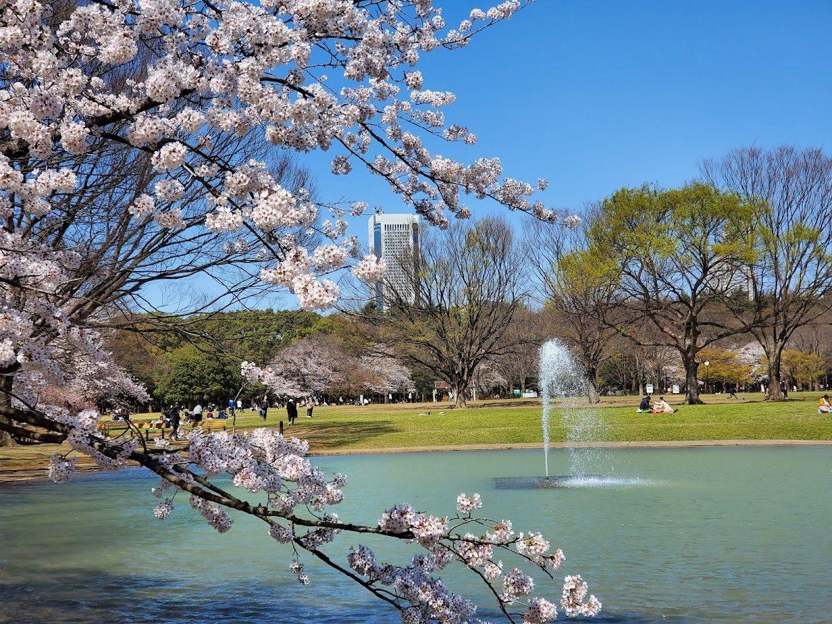 代々木公園(南口・渋谷門側)