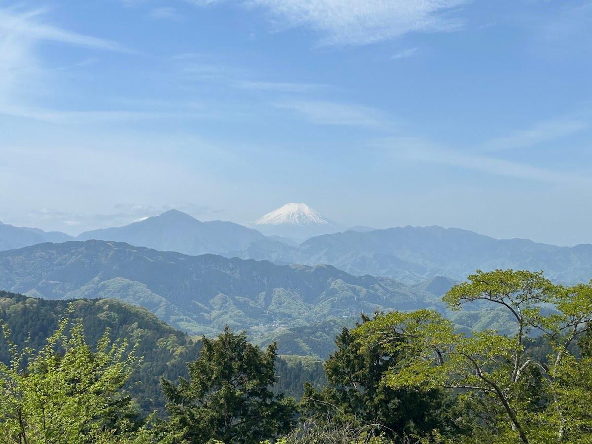 高尾山1号路 犬連れ散歩コース（表参道）