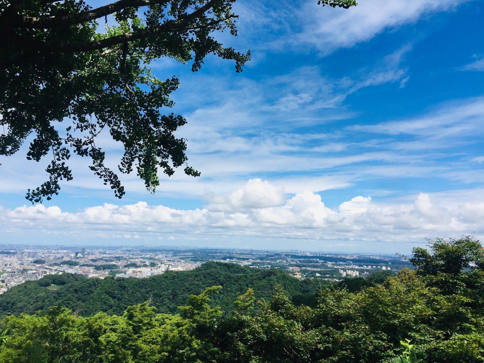 金比羅台園地