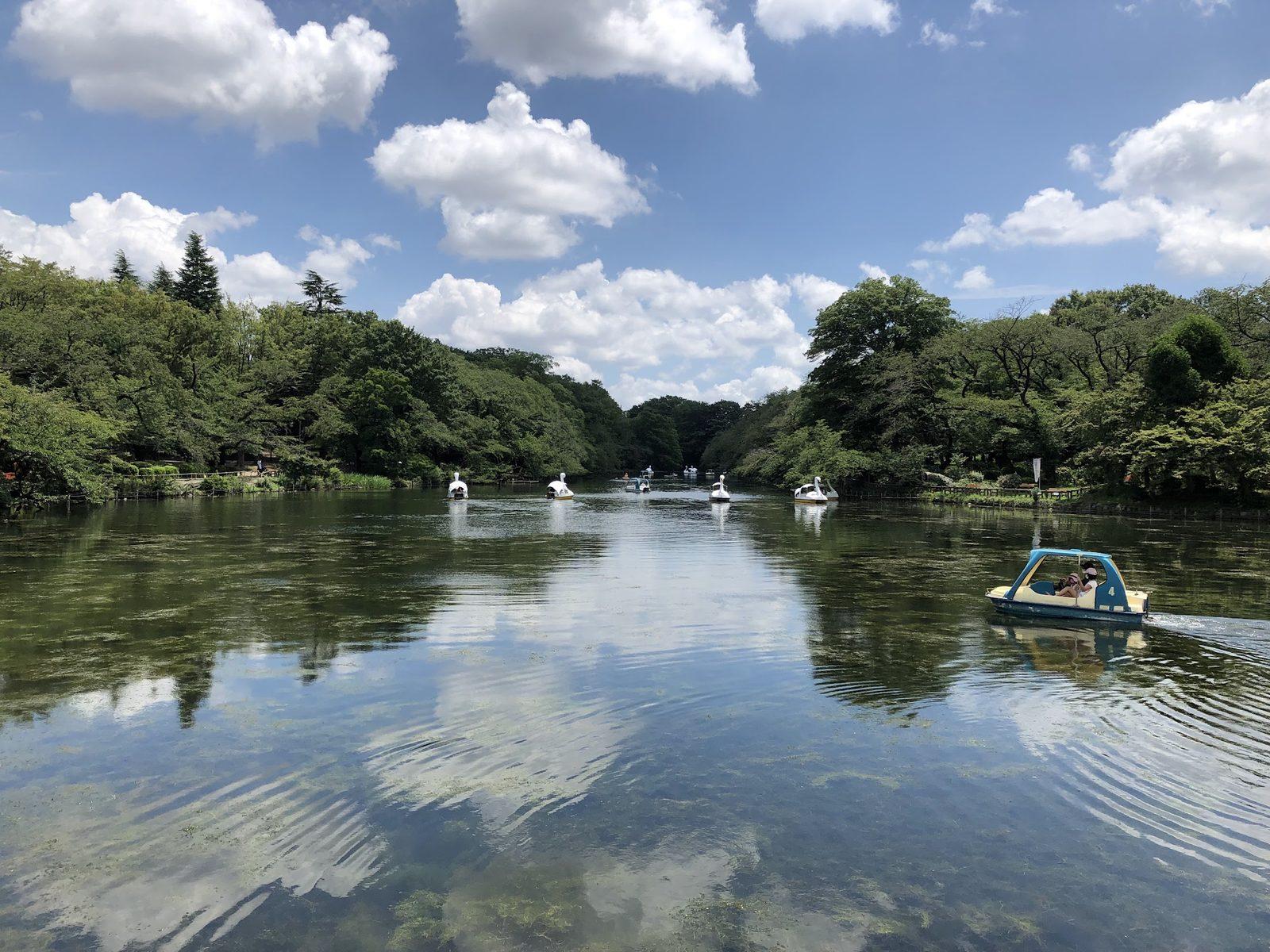 井の頭池周遊コース の写真 2