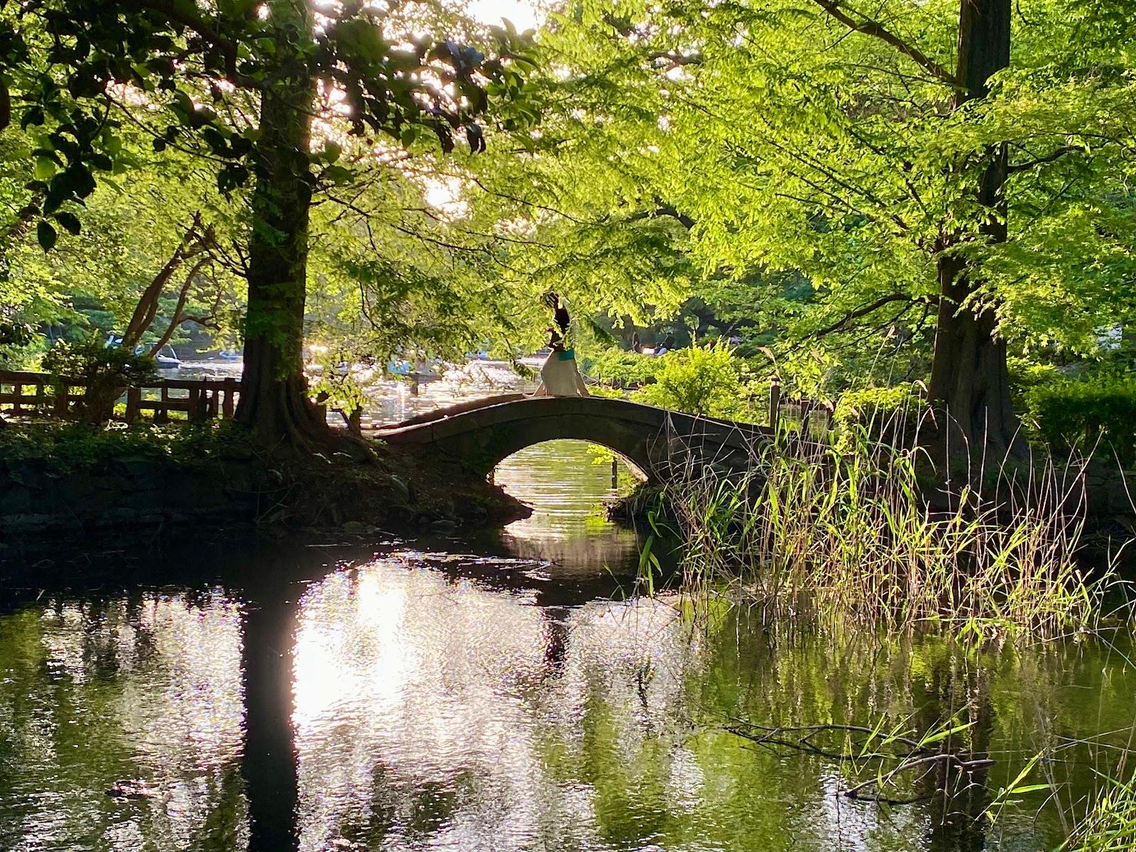 井の頭池 ひょうたん橋