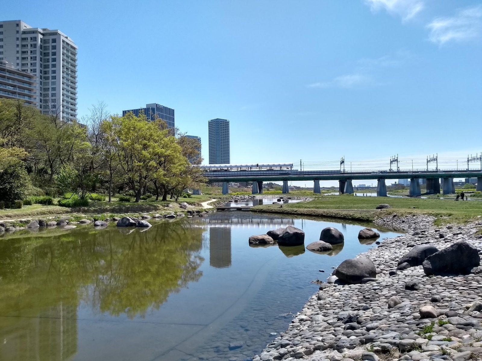 多摩川河川敷