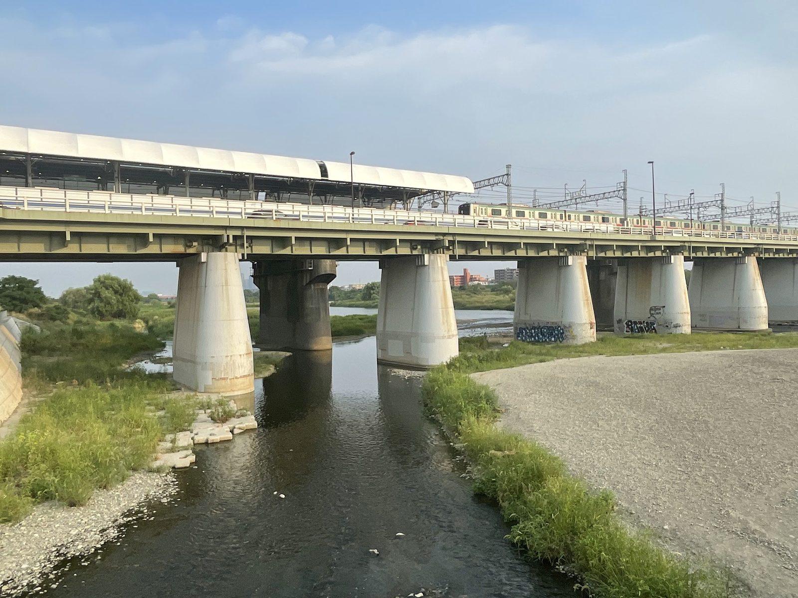 多摩川河川敷サイクリングロード散歩 の写真 2