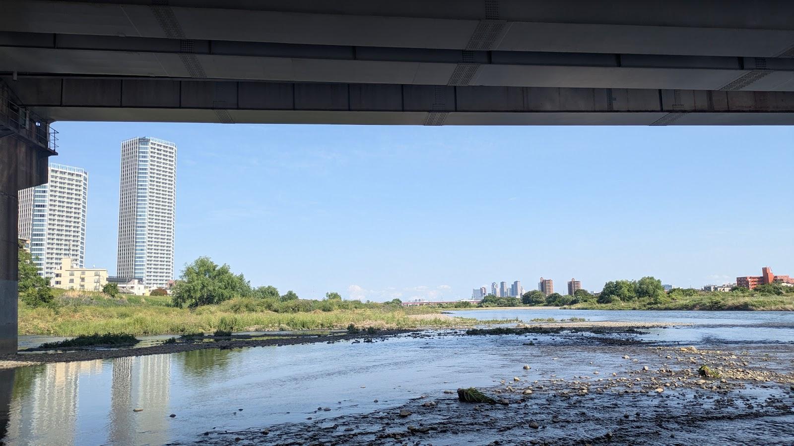 多摩川・野川合流地点