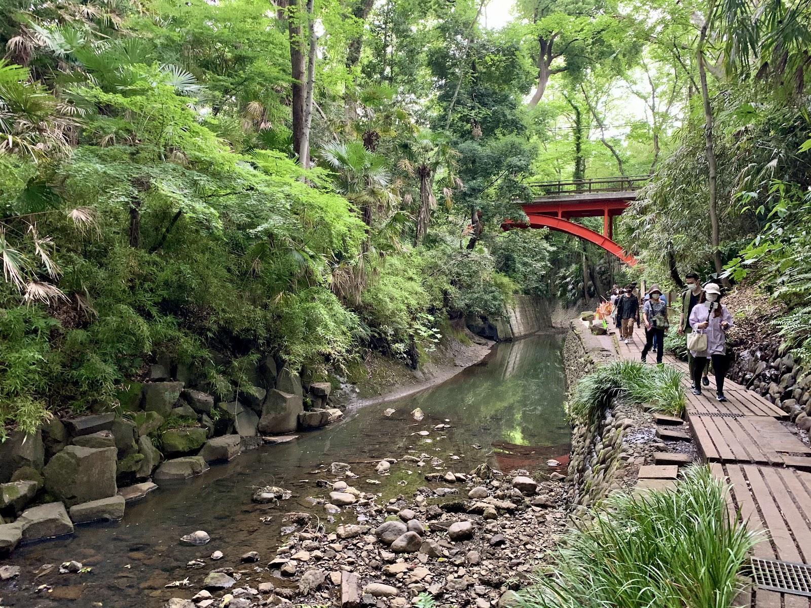 等々力渓谷から多摩川台公園 犬と歩く散歩コース