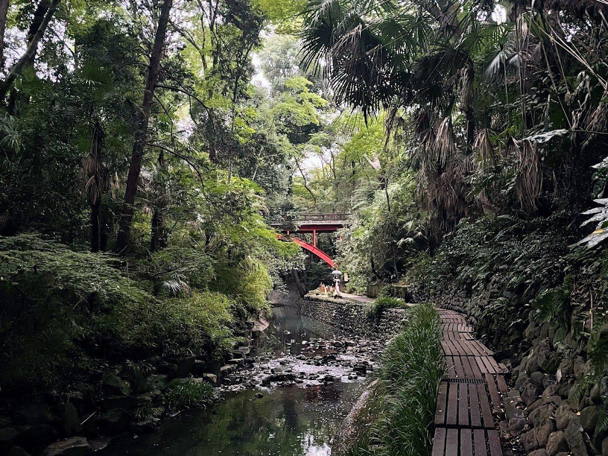 等々力渓谷から多摩川台公園 犬と歩く散歩コース の写真 2