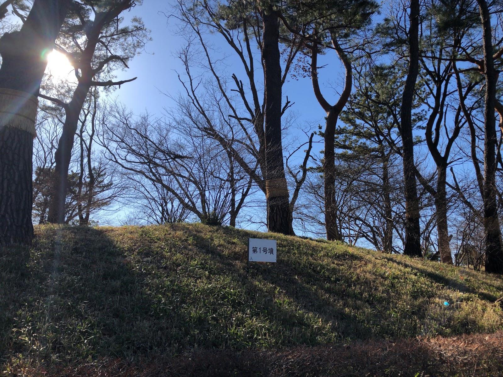 等々力渓谷から多摩川台公園 犬と歩く散歩コース の写真 3
