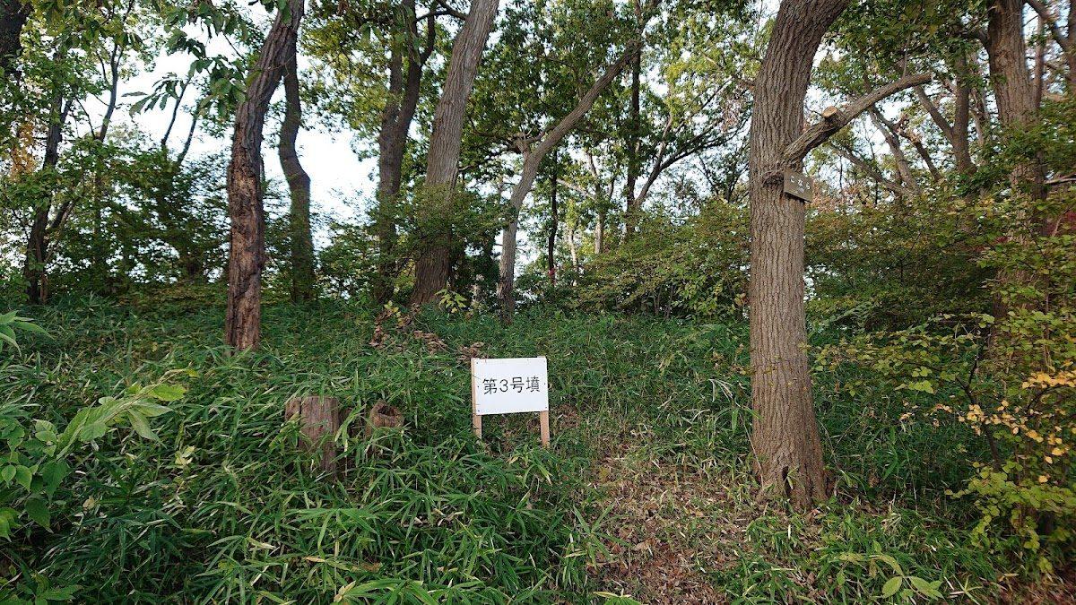 多摩川台公園 古墳群