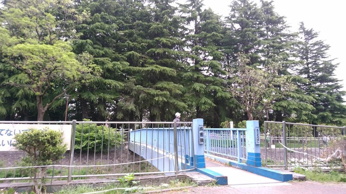 善福寺川緑地