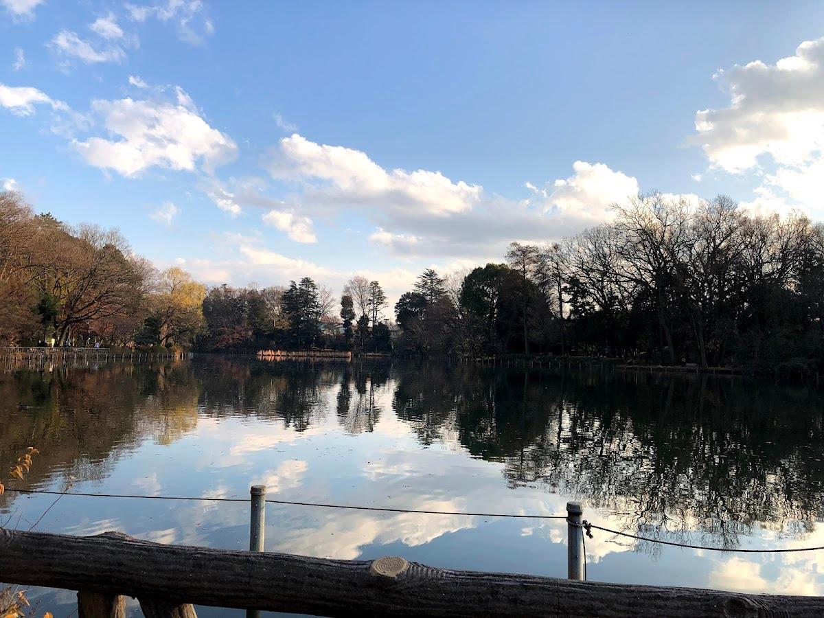 善福寺池 上の池