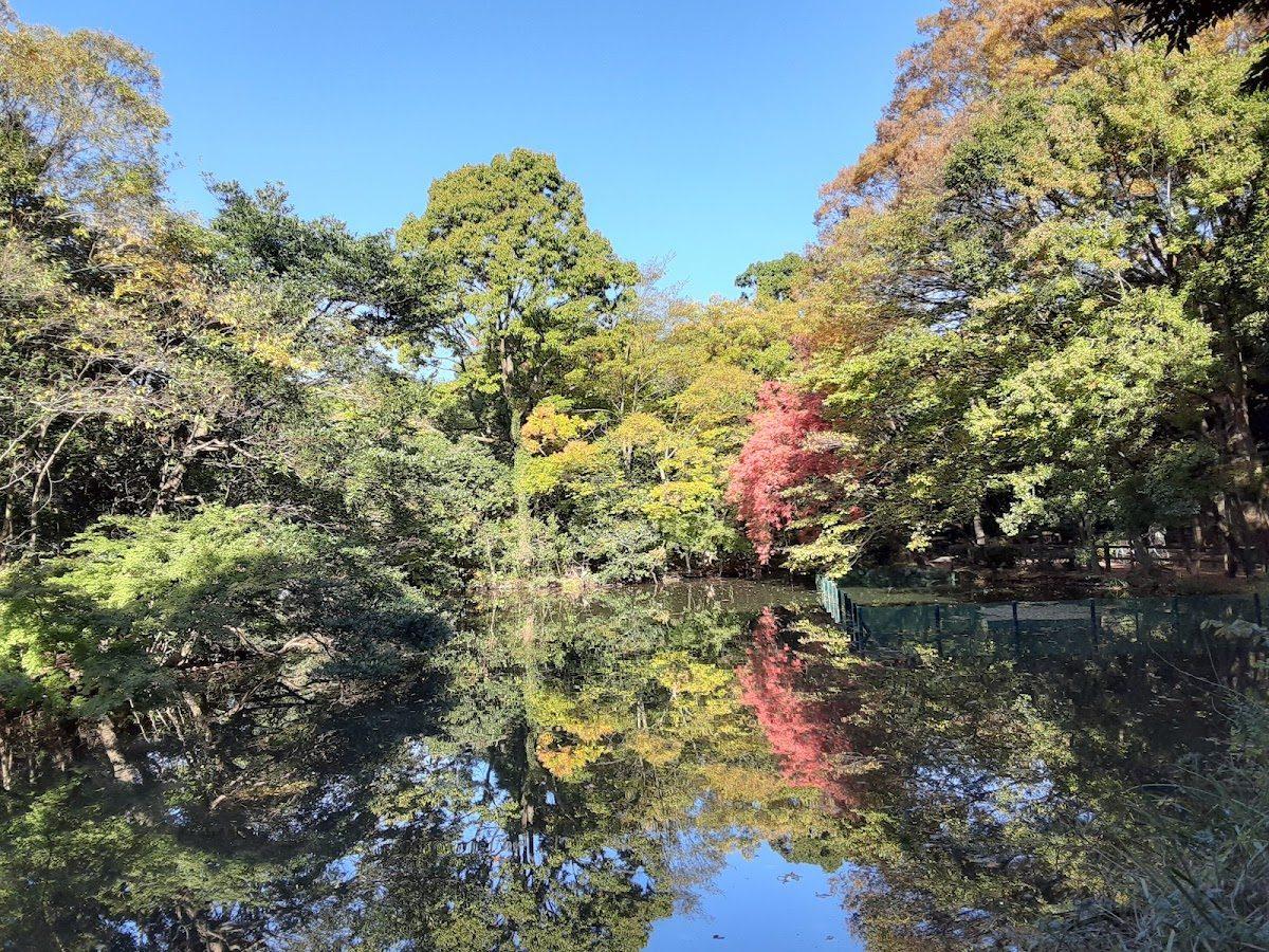 和田堀池