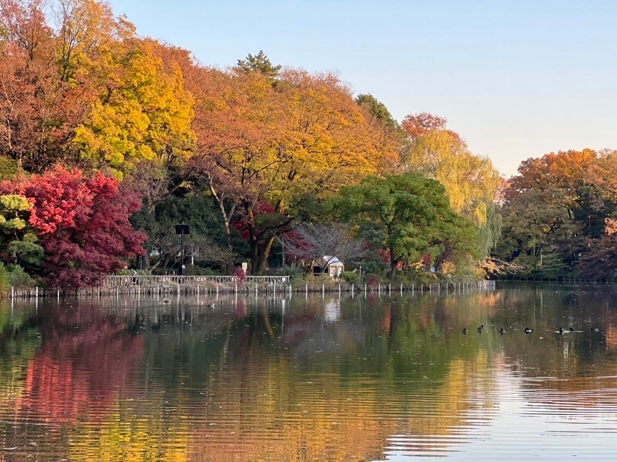 善福寺公園