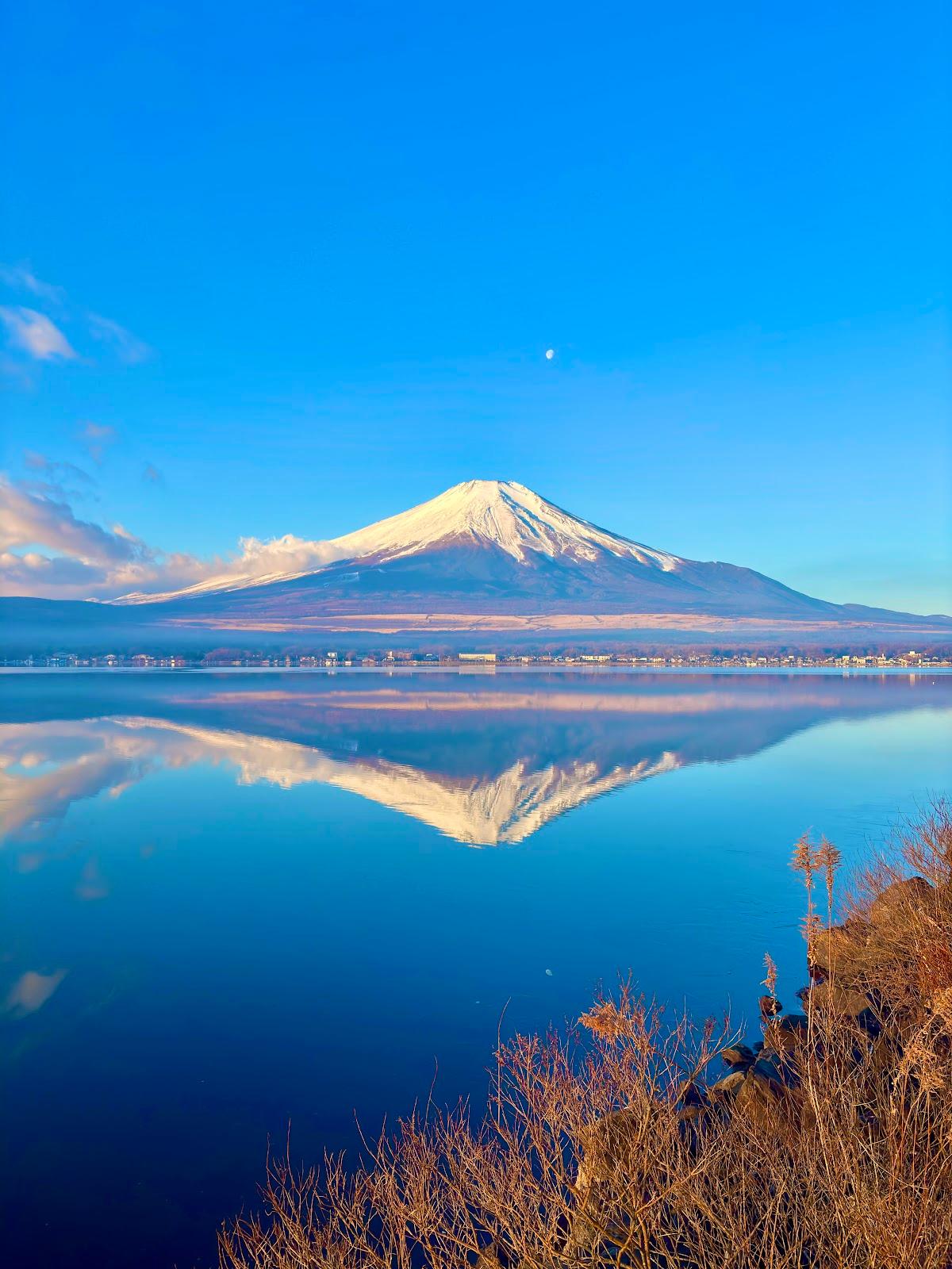 山中湖 富士山を望む湖畔散歩 の写真 2