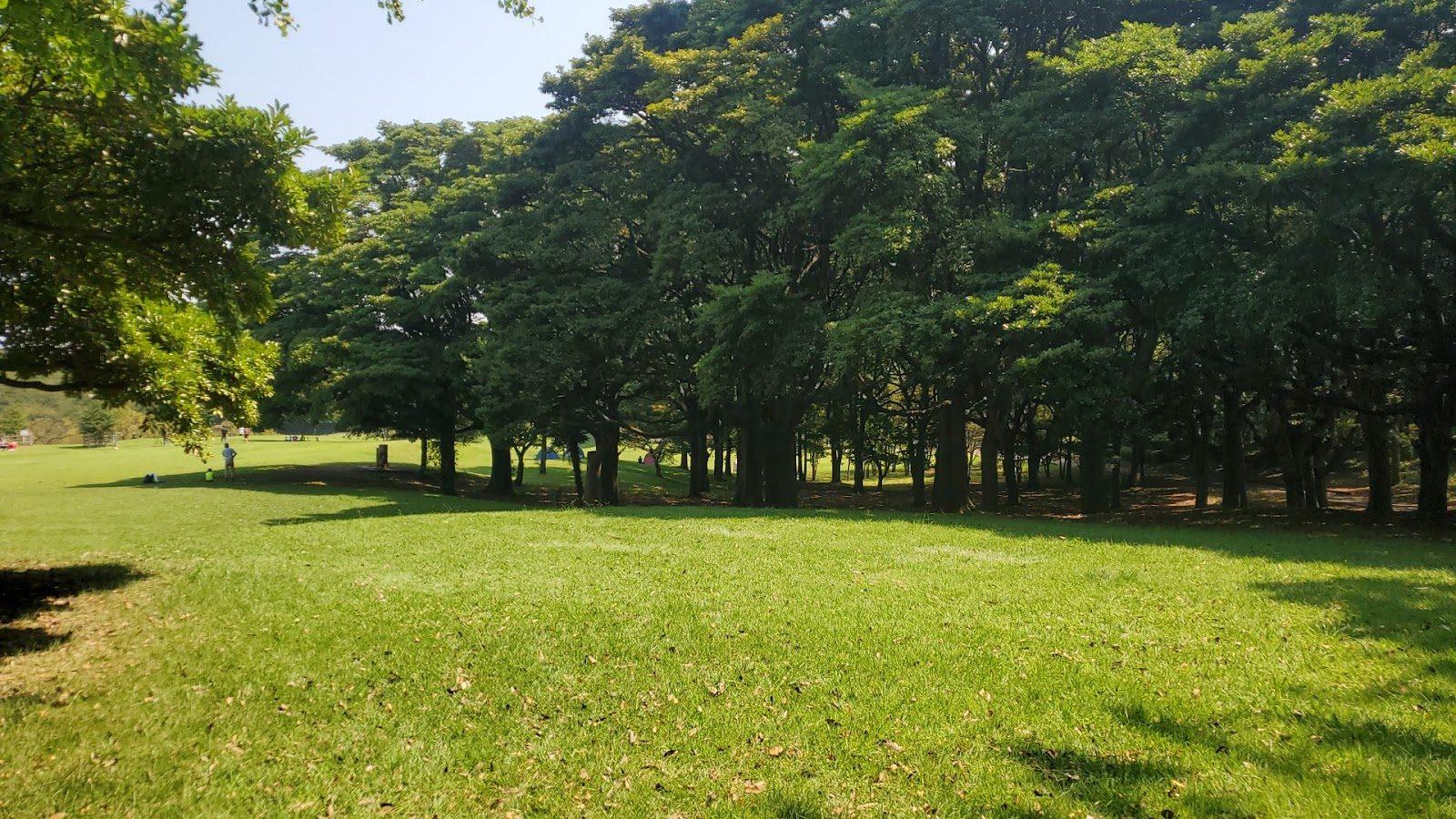 根岸森林公園 犬と歩く競馬場遺産と緑の散歩コース の写真 3