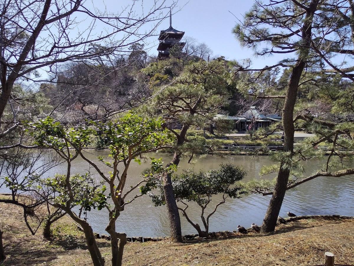 三溪園 三重塔を望む外堀