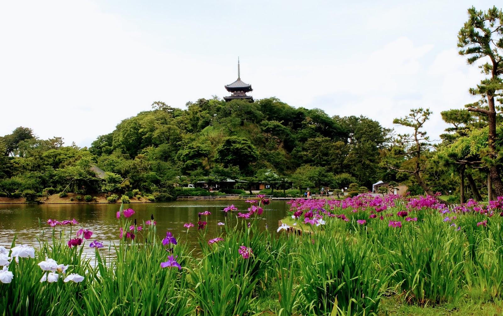 本牧緑道と三溪園外堀さんぽ の写真 2