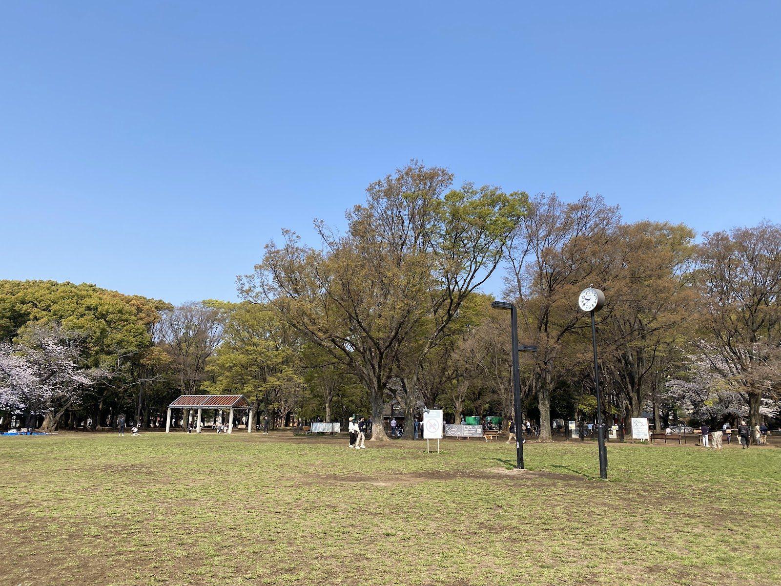 代々木公園 犬と歩く都心の緑の周遊コース